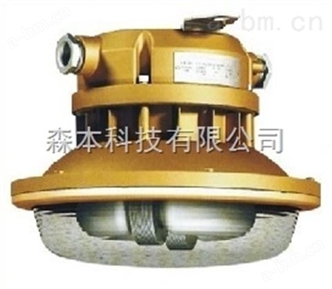 SBF6107免维护节能防水防尘防腐吸顶灯