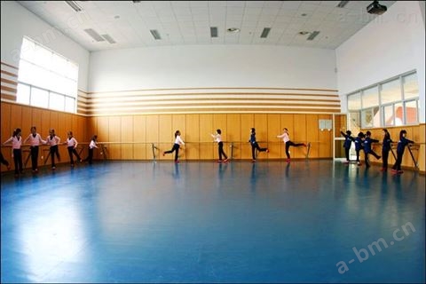 专业批发舞蹈地板 舞蹈地板厚度 舞蹈地板厂家价格