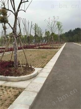 扬州周边厂家直供植草地坪材料  植草模具